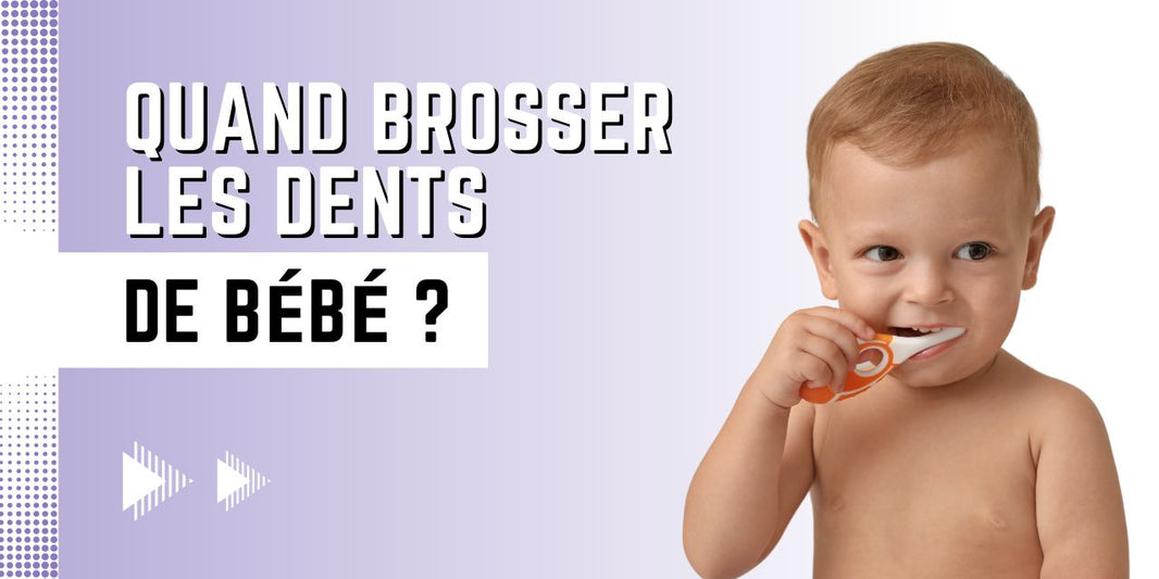 quand brosser les dents de bebe
